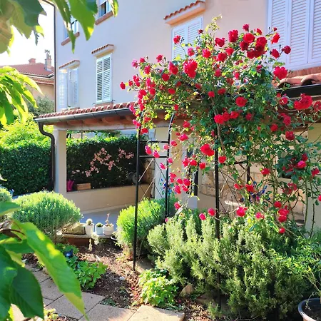 House Torretta *